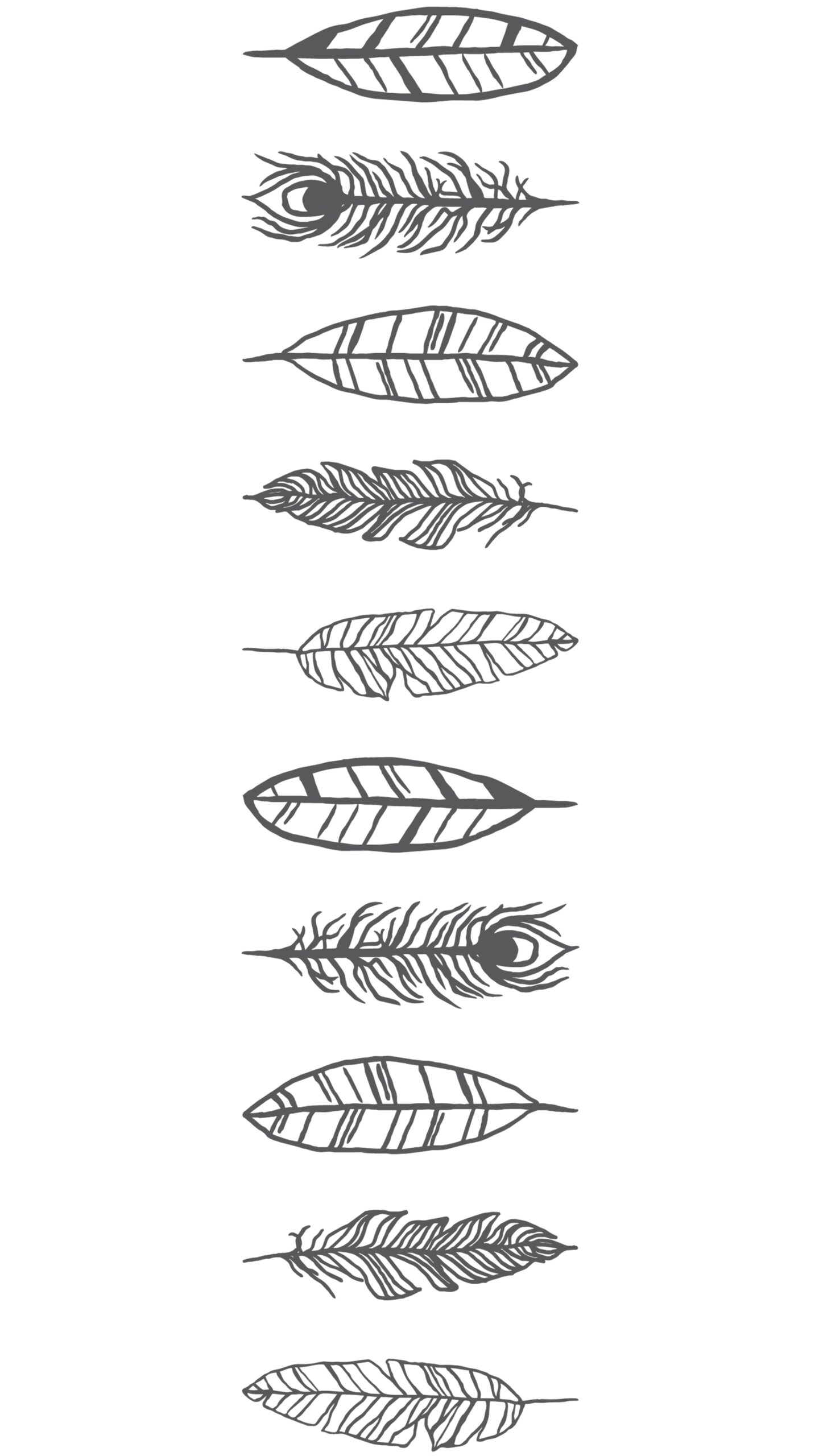 Feathers Design.jpg